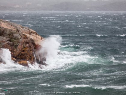 Four teams ready for semi-finals in Lysekil
